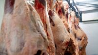 Close up shot of raw meat hanging on hooks at a slaughterhouse