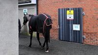 'Completely and utterly unacceptable' delay in IHRB finance probe
