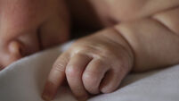 Baby stock