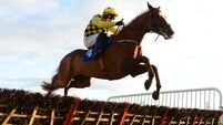Willie Mullins strikes back with near-120-1 five-timer in Thurles