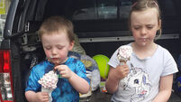 Two children die in car fire
