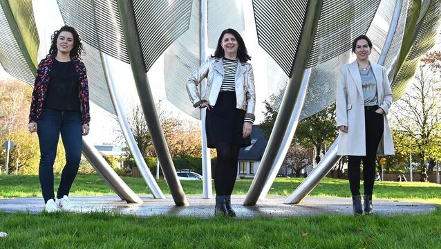 <p> Dancing for the mental health benefits: Tara O'Sullivan, Deirdre McArdle and Sheeona Gorman at the Kindred Spirits Choctaw Monument at Midleton, Co Cork. Pic: Larry Cummins</p>