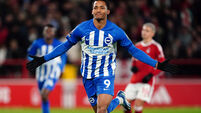 Nottingham Forest v Brighton and Hove Albion - Premier League - City Ground