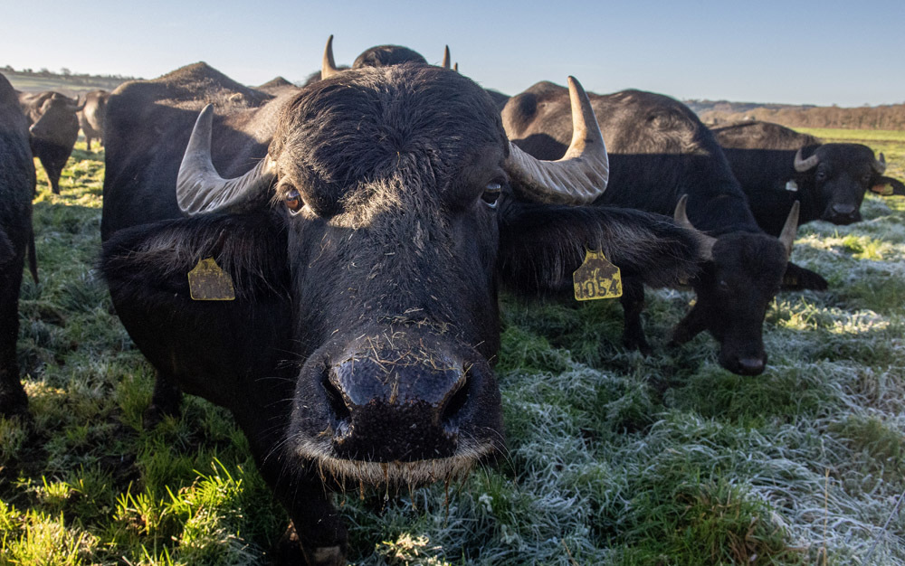 photos of the week