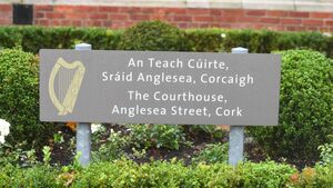 Judge: Young people being targeted as money mules