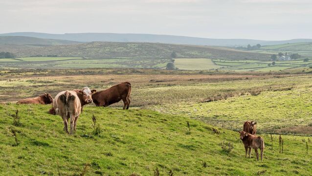 <p>The scheme provides payments to people farming land in designated areas that face significant hardships from factors such as remoteness, difficult topography, climatic problems, and poor soil conditions.</p>