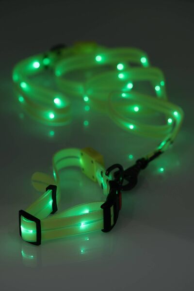 LED collar, €19.99, and LED leash, €26 from bodylitegear.com LED collar, €19.99, and LED leash, €26 from bodylitegear.com