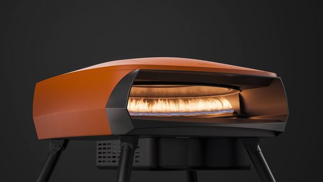 <p>Witt Etna Fermo pizza oven, €635</p>
