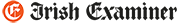 logo-ie