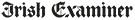 IE Logo