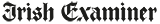 IE logo